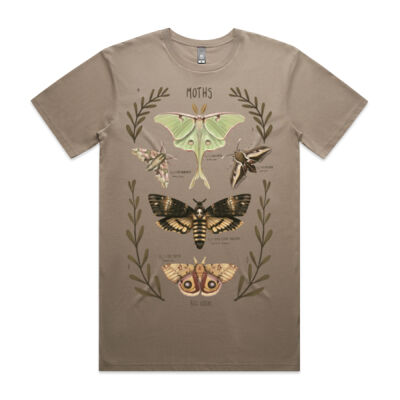 Moth Collection Thumbnail